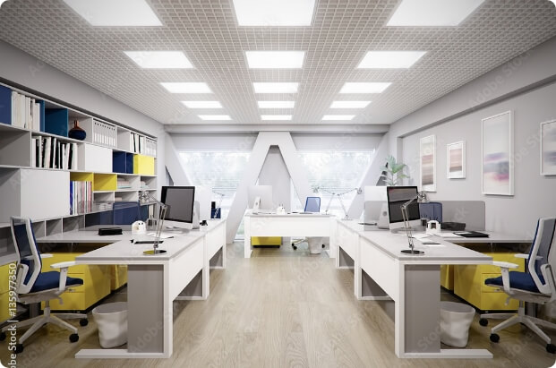 opis zdjecia